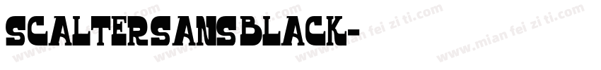 Scalter Sans Black字体转换